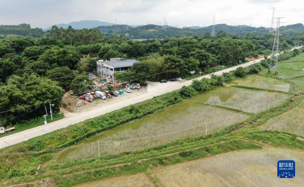 威尼斯捕鱼网